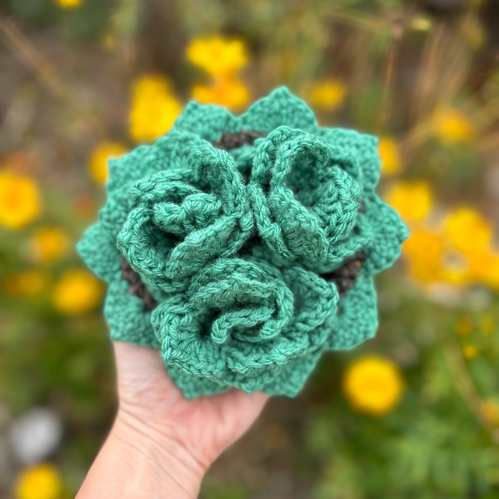 Crocheted Succulent Coasters, set of 4 - Picture 1 of 4